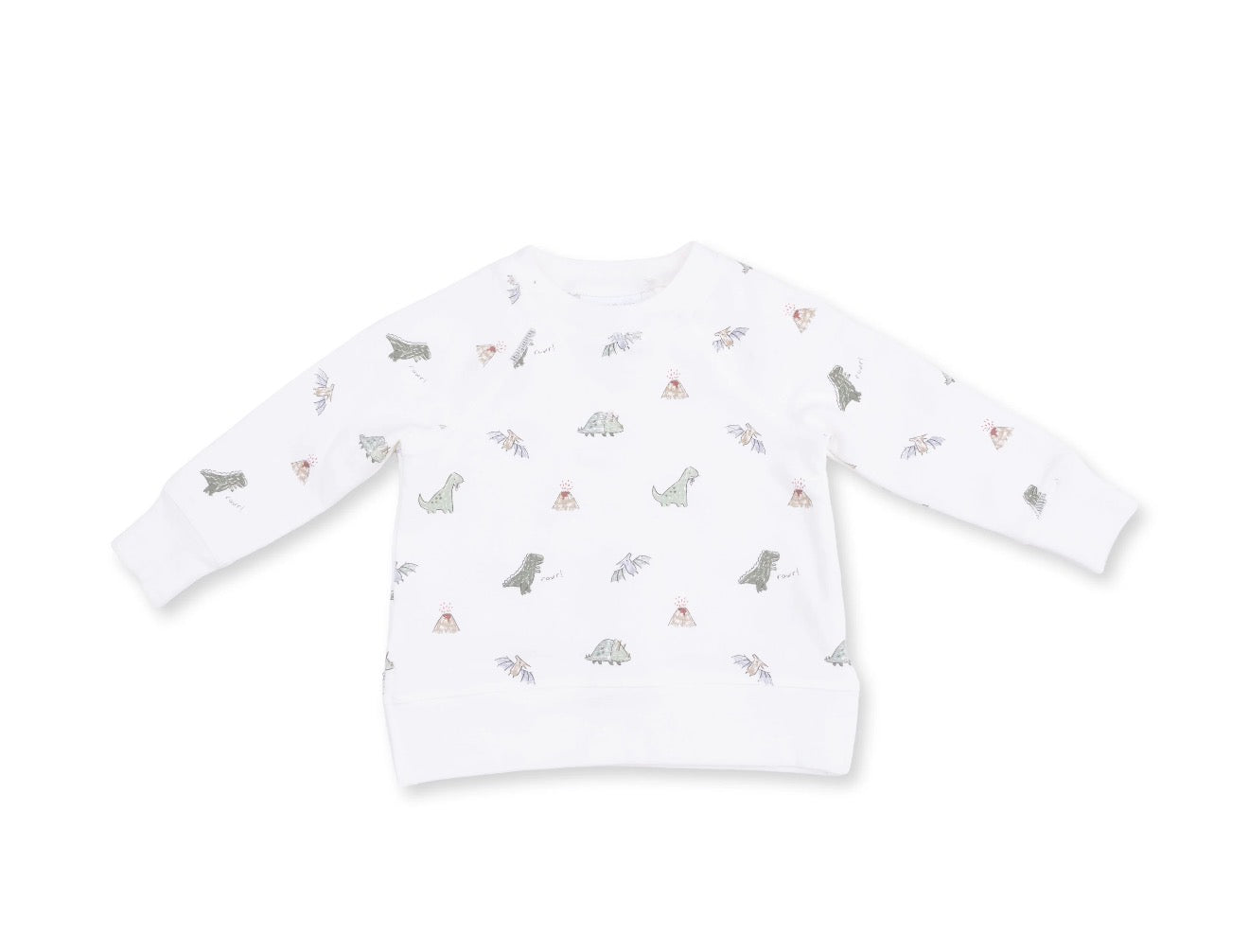 Dinos French Terry Raglan Sweatshirt