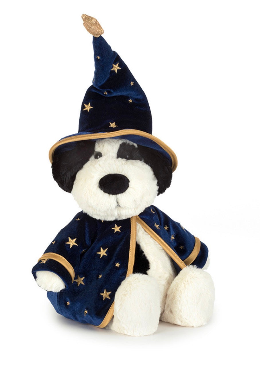 RUFFERTY PUPPY WIZARD OUTFIT