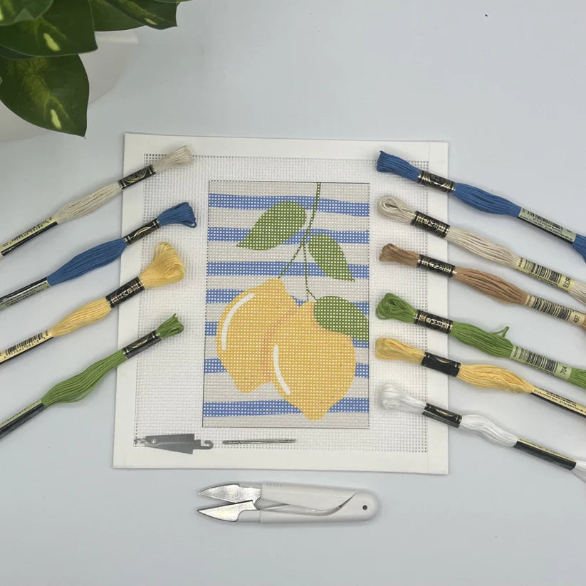 Needlepoint Kits