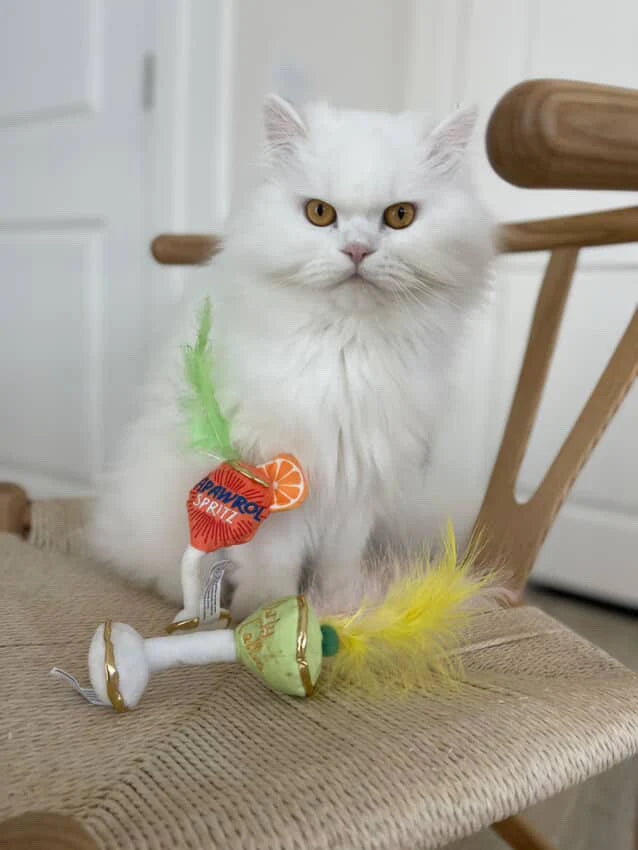 Haute Diggity Dog | Kitty Cocktails Catnip Toys Aperol Spritz/Dirty Martini