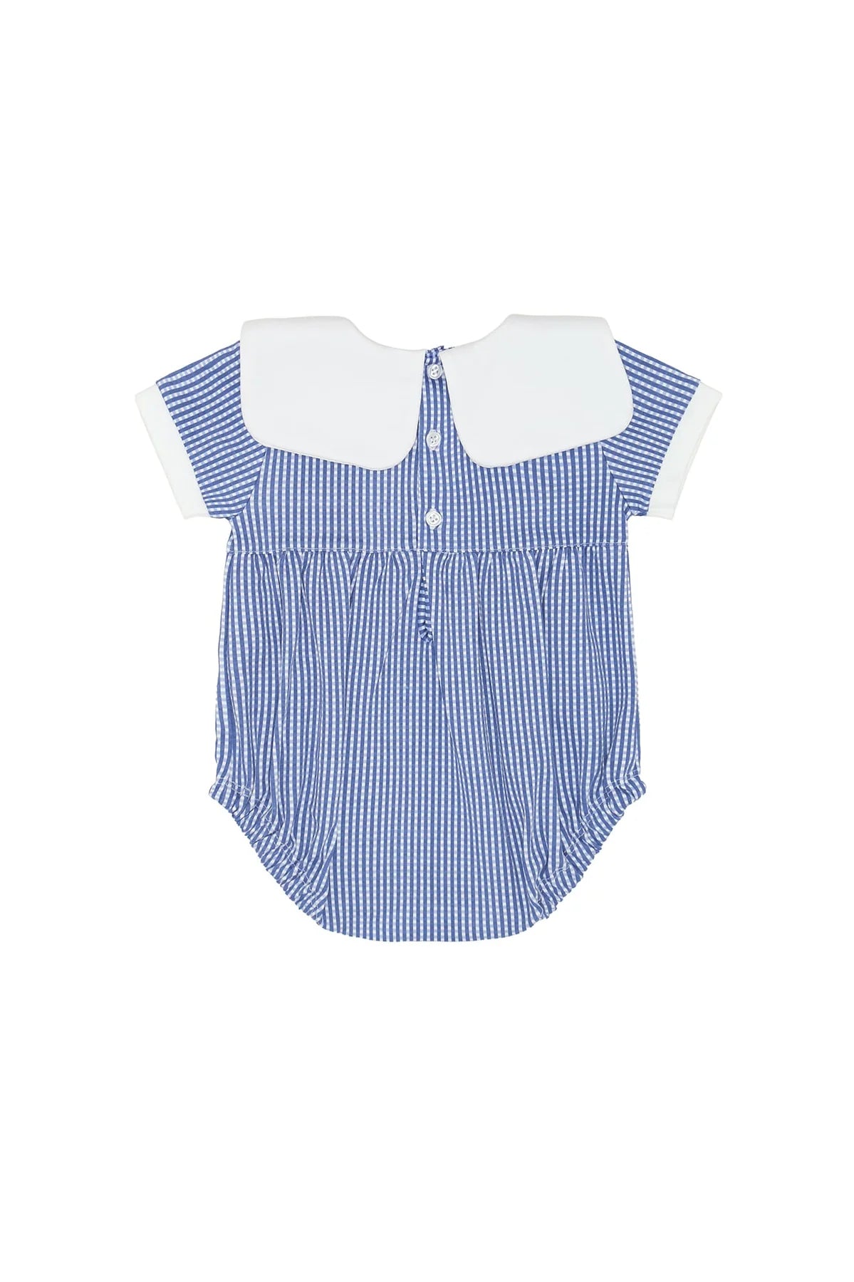 American Pups Square Collared Blue Bubble
