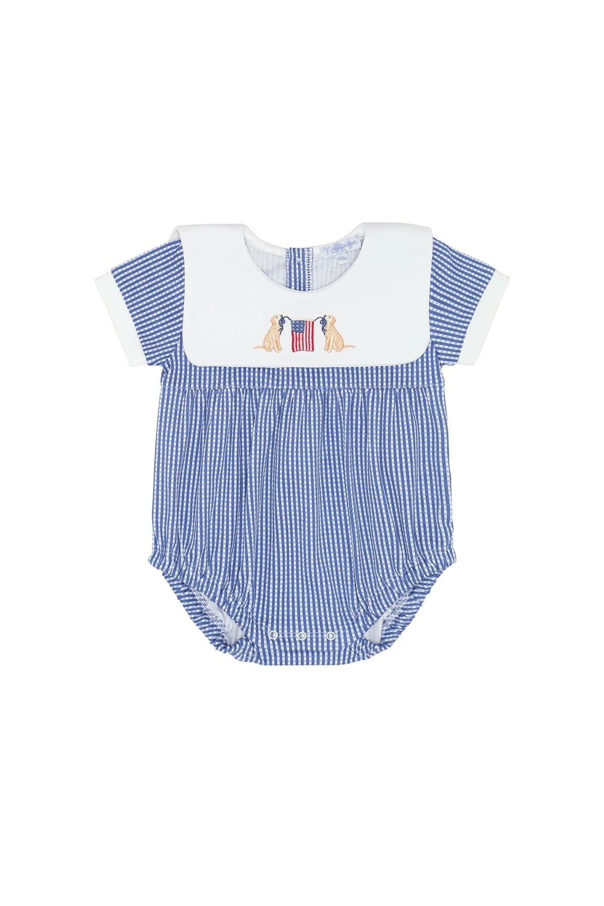 American Pups Square Collared Blue Bubble