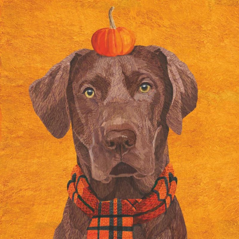 PPD Beverage Paper Napkins - Sweater Dogs
