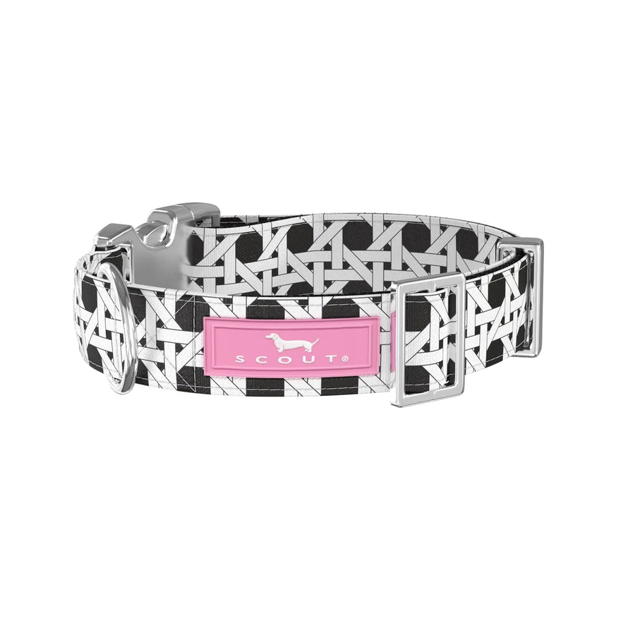 Scout | Dog Collar