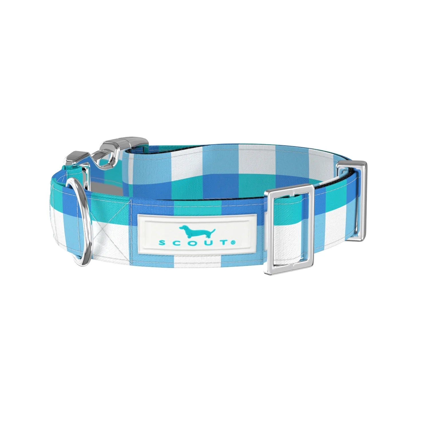 Scout | Dog Collar