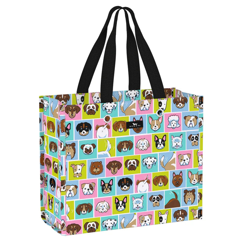 Scout | Large Package Gift Tote