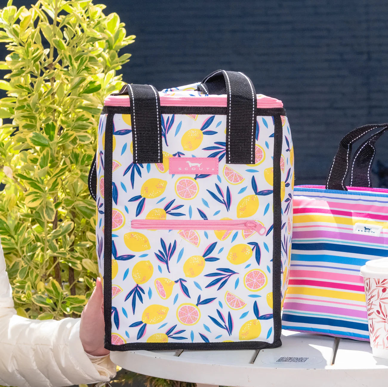 Scout | Pleasure Chest