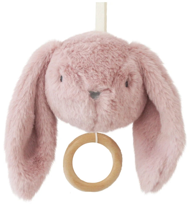 Darcey Bunny Musical
