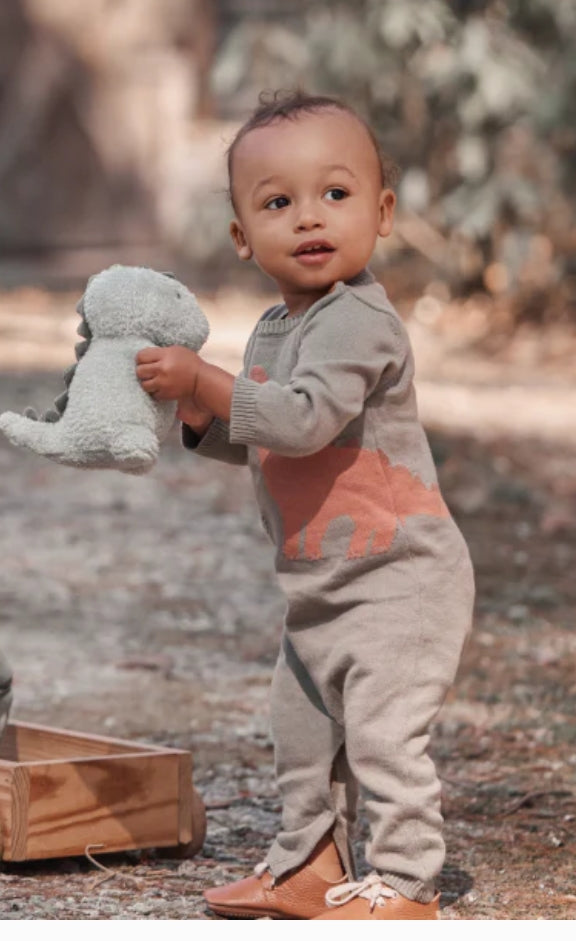 Elegant Baby | Dinosaur Knit Jumpsuit