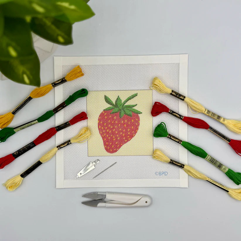 Needlepoint Kits