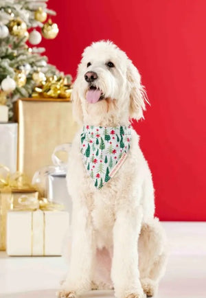 MudPie | Christmas Dog Bandana