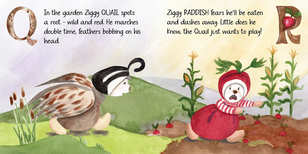 Bukowski Bears | Z Is For Ziggy Book