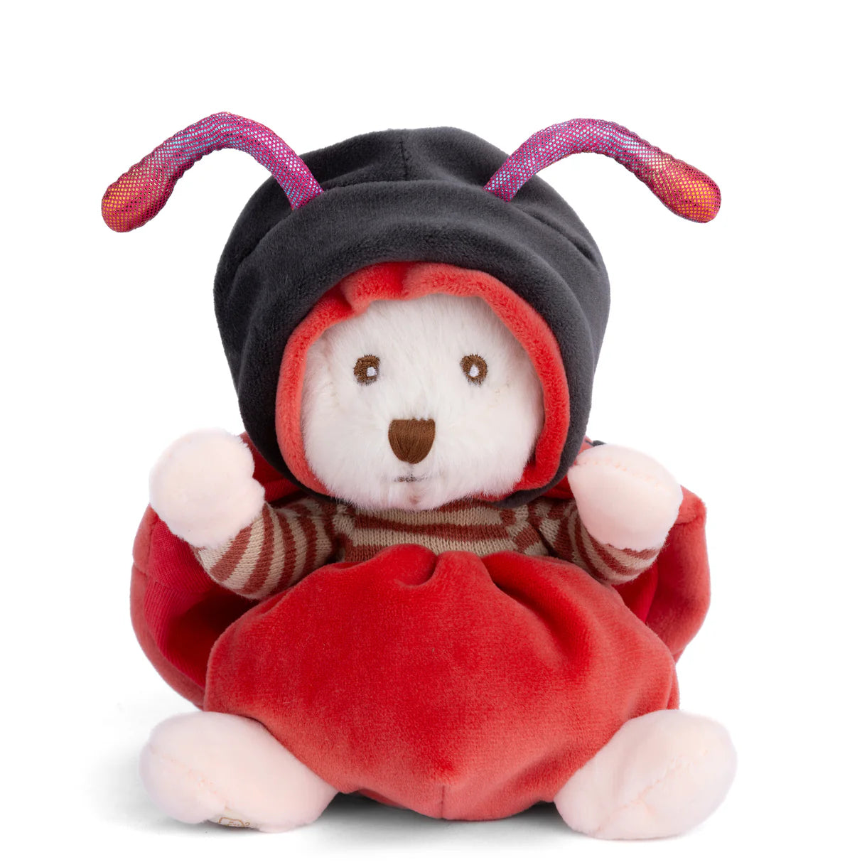 Bukowski Bears | Ziggy Ladybug