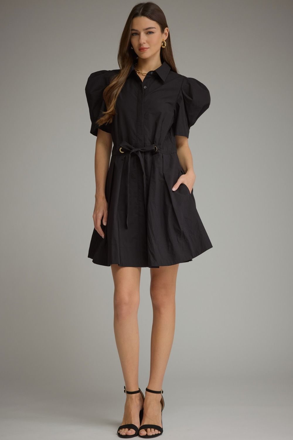 Skyler Puff Sleeve Mini Dress