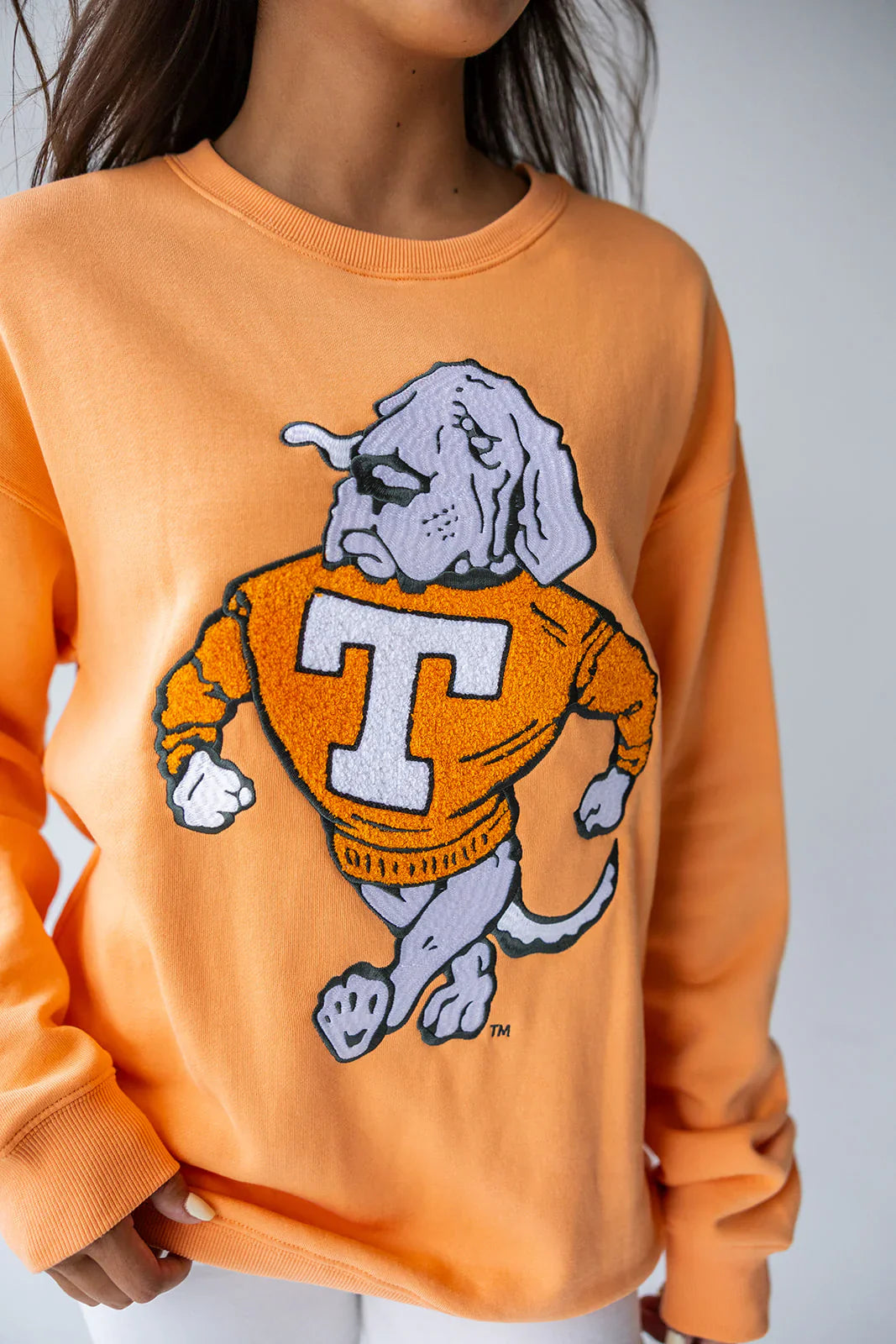 Tennessee Chenille Smokey Embroidered Sweatshirt