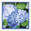 ROCKFLOWERPAPER | Blue Hydrangeas 15" Square Tray