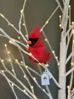 Jellycat | Birling Cardinal