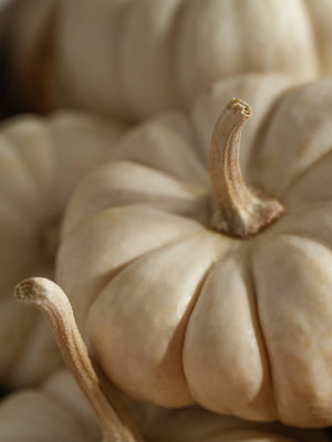 Pura | White Pumpkin